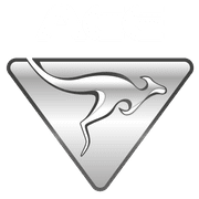 ACE-EV Group